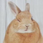 [모두드루와] 나 입<b>덕</b>부정기 맞지??