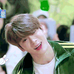 [NCT] 아이돌 유목민인데 큰일났다