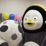 [댓글부탁해] 울이 펭이 <b>랜덤</b>짤 8개