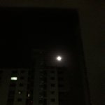 오늘따라 <b>달빛</b>이 왜이리 밝지?