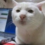 [댓글부탁해] 얘들아 허벅지 안쪽살 빼는운동중에