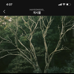 [드루와] 나 하<b>연수</b> 너무 좋음..