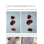 [방탈죄송] 충남 <b>당진</b>의 한 동물병원에서 반려동물들이 죽어나가고...