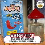 [댓글부탁해] 씨몽키 진짜 <b>생물</b>이야??