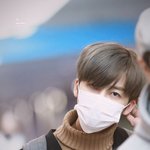 스파이더 <b>후집</b> 예쁘다