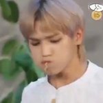 [NCT] 노잼시티 기억도안나 ...