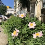 <b>All</b> the colors and personalities