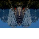 [코로나19] 코로나19와 <b>종말</b>의 네 기사