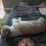 <b>침대</b>에서 같이잘때