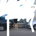 <b>몇키</b>로같아??????제발
