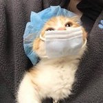 [드루와] <b>야들</b>아 한번만 들어와줘