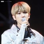 [EXO] 백현 오스트 <b>드라마</b>는 다 대박