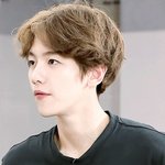 현실에 <b>변백현</b>같은 사람