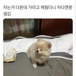 [댓글부탁해] 전남친얘긴데 어케생각함?