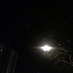 ㅅㅂ 드디어 나 판 접는다