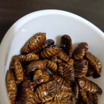 맛있는 <b>간식</b>