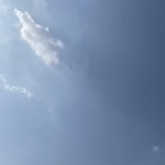 [ㅈㄱㄴ] <b>쿨</b>이면 흑발 <b>웜</b>이면 갈색머리가 어울리나?