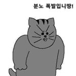 [댓글부탁해] 여름여름한 네일 색 추천해<b>주랑</b> ..