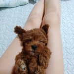 16년 키우던 말티보내고 입양한<b>강지</b>. 이제 오늘로써 1살