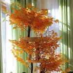 친환경 캣타워에 <b>환장</b>하는 냥이들