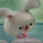 이게 정상적이야?