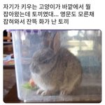 [댓글부탁해] 역시 애들 다 <b>집</b> <b>밖</b>으로 못 나가니깐