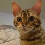 근데 픽크루