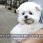 얘들아 수학여행 썰 <b>풀자</b>