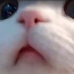 <b>토스</b> 쓰는 사람들