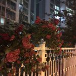 [드루와] 왓챠고인물이 추천해준다