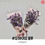 [댓글부탁해] 자기 자랑거리 하나씩 적고가