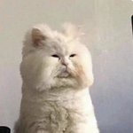 아니 나 <b>mbti</b>