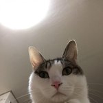 [19] 남자 <b>빛삭</b>