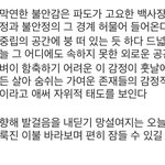 얘드라 나 시 같은 거 쓰는데