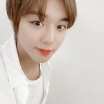 박지훈 탕후루 만드는거 봄?