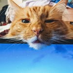 <b>재택</b> 근무가 너무 힘든 이유...