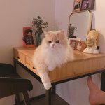 [드루와] 너희 학원 <b>간</b>다<b>안</b>간다 추반좀