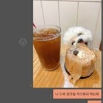 [댓글부탁해] 과대 뽑는데 <b>지원</b>할까? ㅋㅋ
