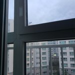 야 나 까르보 2개 먹을 수 있을까???
