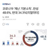 코로나19 '재난 기본<b>소득</b>'..찬성 48.6%, 반대 34.3%