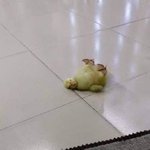 [댓글부탁해] 최애랑 함께라면 밥에 <b>소금</b>만먹고살아도 행복할듯...