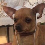 [드루와] 인서울하려면 고1때 내신 <b>몇정도</b>나와야햐??