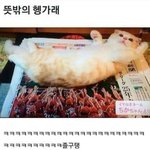 [댓글부탁해] 지금 쓰는 카톡<b>계정</b> 로그아웃 하고