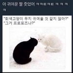 [댓글부탁해] 아니 근데 <b>일베</b>들은