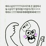 요즘 판 특