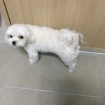 공포썰 봐서 무서워가지고