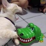 [드루와] 나 <b>슈바</b> 이중인격 개웃김