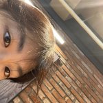 [댓글부탁해] 쌍커<b>풀</b> 만들까 말까.. 고민