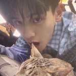 얘 왜 이래..?