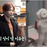 [강다니엘] 강다니엘 진짜 <b>예상</b>이 안돼ㅋㅋㅋㅋㅋ